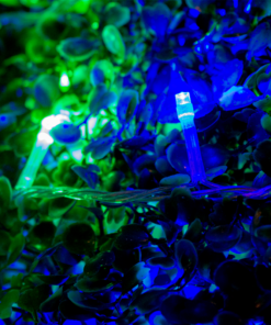 Serie Navideña 100 Led Luz Azul/verde 6 Mts Cable Transparen