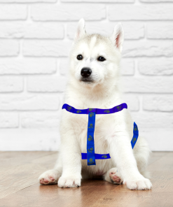 Pechera de Tela para Mascotas Medianas Ajustable con Broche de Seguridad Paq. 3 Pzs