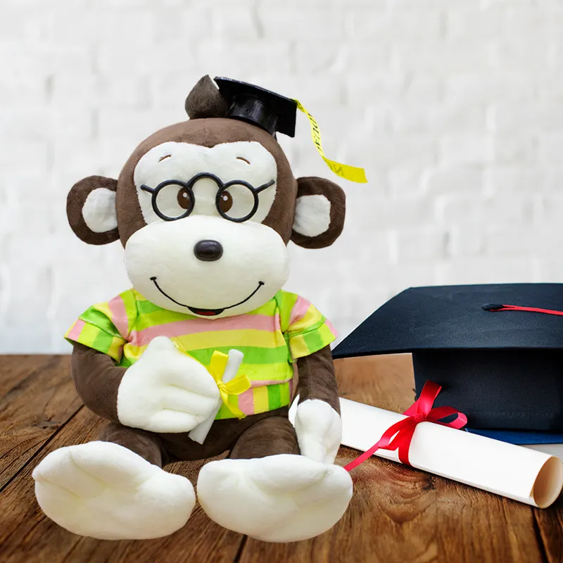 Changuito De Peluche para Graduación de 35cm Con Playera 🎓🐵 - Image 8