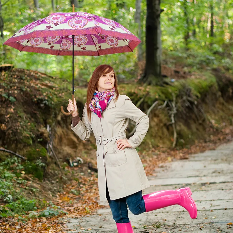 Paraguas Semiautomático Paq. 12 Pzs.☔ - Image 3